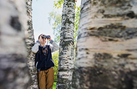 Kind mit Fernglas im Wald
